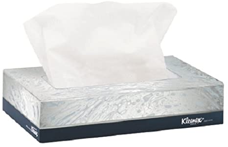 Kleenex 21195 Facial Tissue, Junior Pack, 8.40 x 5.50 inch, 2-Ply, Tissues, 40 Sheets/Box, 80 Boxes/Carton, White, Sold as 2 Cartons