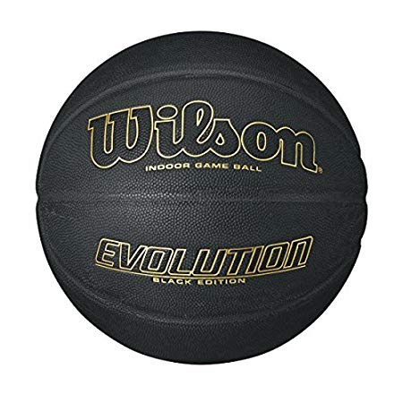 Wilson Evolution Game Basketball