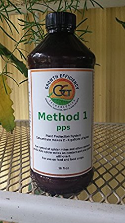 Method 1-pps