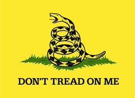 Atv 10 Foot Tall Don't Tread On Me Safety Flag with 2 Piece White Pole and Mounting Bolt ATV Motorcycle Razor UTV