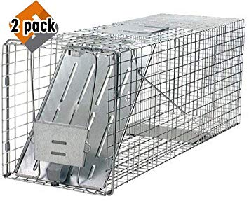 Havahart 1079 Large 1-Door Humane Animal Trap for Raccoons, Cats, Groundhogs, Opossums 2 Pack