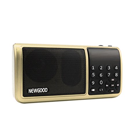 NEWGOOD Portable Personal Radio Mp3 Player Speaker Home Kitchen use for Parents Family Friends Gift,Super Bass with USB/TF/3.5mm AUX/FM Radio Digital Audio Player (golden)