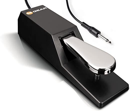 M-Audio SP-2 - Universal Sustain Pedal with Piano Style Action, The Ideal Accessory for MIDI Keyboards, Digital Pianos, Electronic Keyboards & More, Black, 1 Function