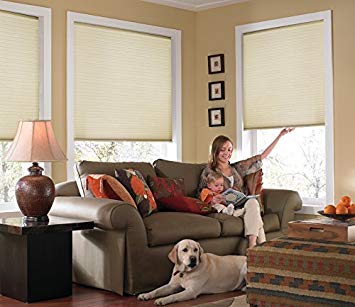 Windowsandgarden Custom Cordless Single Cell Shades, 29W x 37H, Daylight, Any Size from 21" to 72" Wide and 24" to 72" high Available