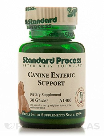 Canine Enteric Support 30 Grams by Standard Process