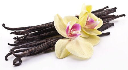 Wild Vanilla Beans Single-Origin Madagascar Grade A Black Gourmet Vanilla Beans 3 vanilla beans