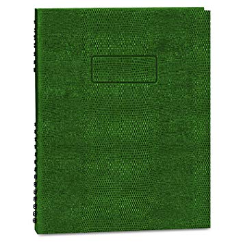 Blueline EcoLogix 100% Recycled NotePro Notebook, Green, 11 x 8.5 inches, 200 Pages (A10200E.GRN)