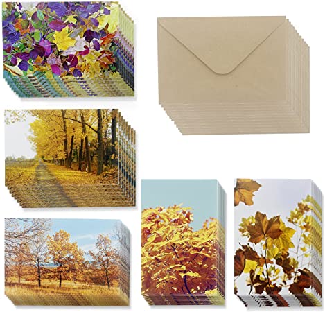 All Occasion Greeting Cards - 48-Pack Blank Note Cards, Bulk Box Set, 6 Fall Nature Autumn Designs, Assorted Trees and Leaves Photographs, Brown Kraft Paper Envelopes Included, 4 x 6 Inches