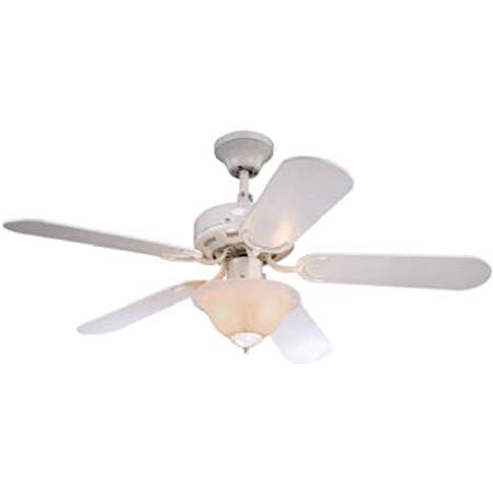 Westinghouse Lighting 7877265 Richboro SE 42 Inch Ceiling Fan, White Finish