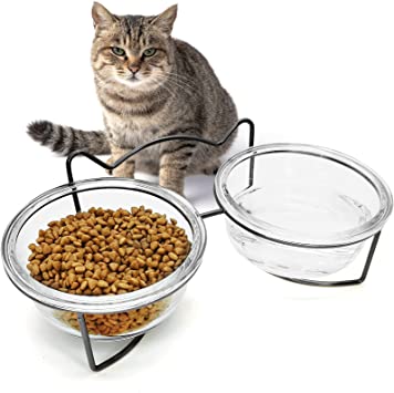 Double Glass Raised Cat Bowl with Gold Iron Stand,15° Tilted Cat Food and Water Bowls Set Pet Comfort Feeding Bowls 17 oz Small Double Elevated Cats Dog Bowls, Dishwasher Safe (Black)