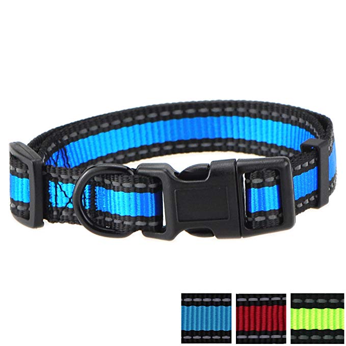 Mile High Life Dog Collar | Reflective 3M Stripe with Nylon Band | Red Blue Green Purple Pink