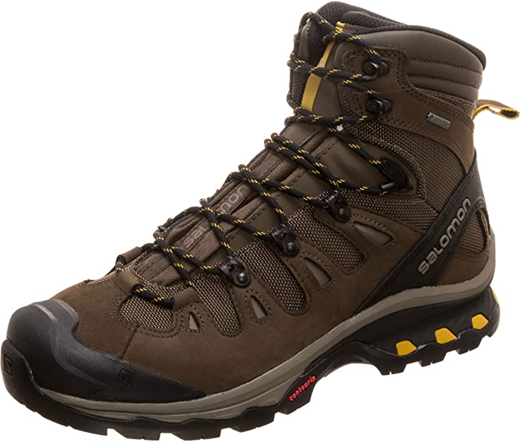 Salomon Men's Quest 4d 3 GTX Backpacking Boots