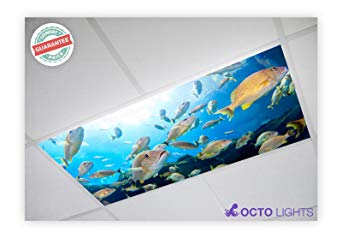 Ocean 004 2x4 Flexible Fluorescent Light Cover