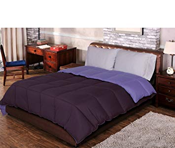 Single Piece King Plum Lavender Reversible Comforter, Down Alternative, for Luxurious Master Bedroom, Polyester Fill, Piped Edging, Hypoallergenic, Purple Magenta, Microfiber