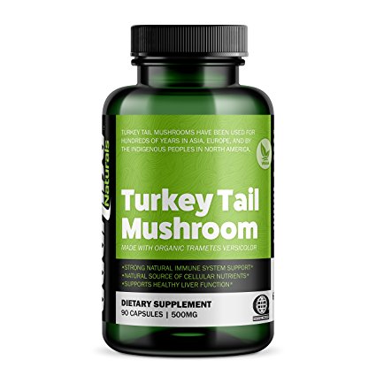 Bushido Naturals Turkey Tail Mushroom (100% Certified Organic), 90 Veggie Caps