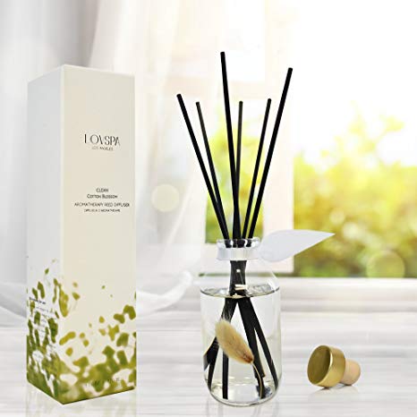 LOVSPA Clean Cotton Blossom Essential Oil Reed Sticks Diffuser Set | Airy Green Floral with Powdery Woods, Sun Dried Linen & Mandarin Blossom