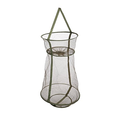 OutFans Bottle-Shaped Collapsible Mesh Fishing Cage/Fishing Net Portable and Durable,Perfect for Keeping Fishes/Smelt/Minnows/Crab/Shrimps/Lobsters(Green)