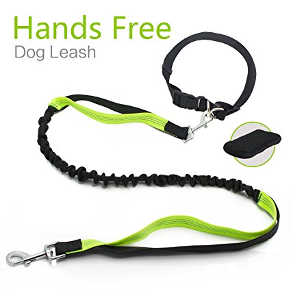 Roadwi Bungee Dog Leash No Tangle Hands free Pet Lead with Reflective Sithching for Small Medium Large Dogs up tp 110lbs, Waist Bag Included (Leash - 4 to 6 feet, Waist - 23" to 55")