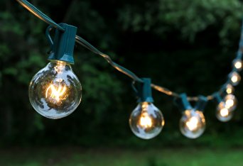 Spring Rose 25 Clear Globe Patio String Lights