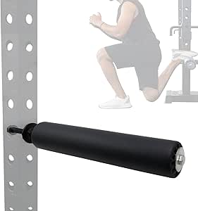 Single Leg Squat Roller for 1" Hole Home Gym Bulgarian Split Squat, Loading Pin Pulley Cable Machine System Attachment