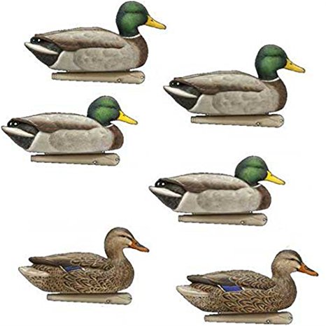 AvianX Top Flight Duck Open Water Mallard Decoy (6 Pack), Green