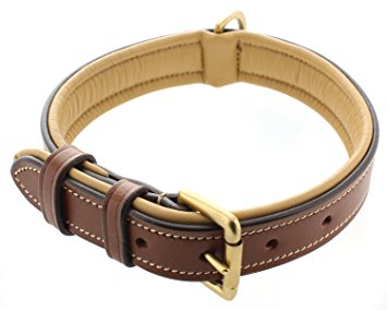 Kingston Genuine Leather Padded Dog Collar