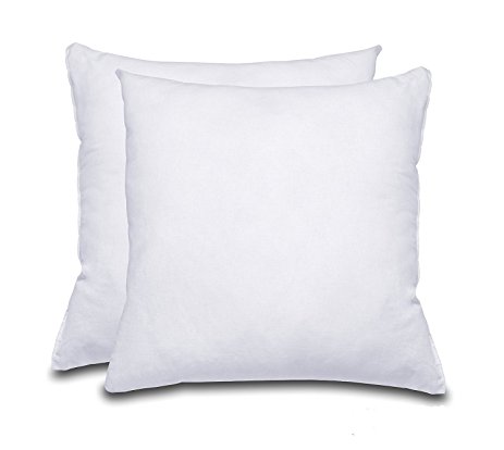 Foam Throw Pillow Insert 18x18 inch 2 PACK，White- 100% Polyester Hypoallergenic Stuffer - Standard Square Pillow Inserts for Indoor and Outdoor