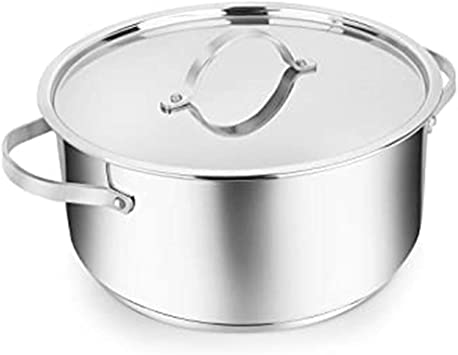 Penguin Home-Professional Induction-Safe Stainless Steel Casserole Pot with Still Lid-Sturdy Steel Handles,24 x 12 cm/5 Litre