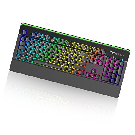 HAVIT Macro Setting RGB Backlit Wired Mechanical Gaming Keyboard with Brown Switches,Black (HV-KB389L)