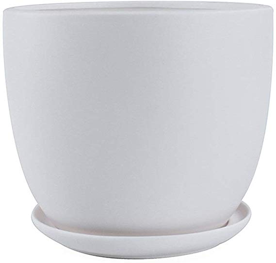 Thwarm Ceramic Succulent Pots Indoor Outdoor Flower Pot with Bamboo Tray Cactus Planter Pot Plant Container Flowers Pots with Drainage for All House Plants (Color : Matt White, Size : XL)