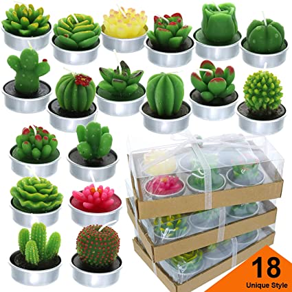 GIFTEXPRESS 18 Pcs Succulent Cactus Candles No Repeat Style, Delicate Smokeless Scented Tealight Candles for Home Décor, SPA, Wedding, Valentine's Day, Birthday Gift, Anniversary Celebration