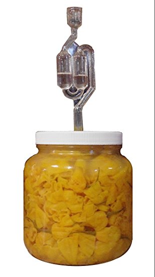 The Picklemeister Glass Fermentation Jar (Picklemeister 1/2 Gallon)