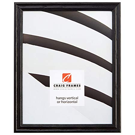 Craig Framess 200ASHBK 0.75-Inch Wide Picture/Poster Frame with Wood Grain Finish, 16 by 24-Inch, Black