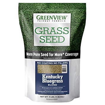 GreenView Fairway Formula Grass Seed Kentucky Bluegrass Blend - 3 lb.