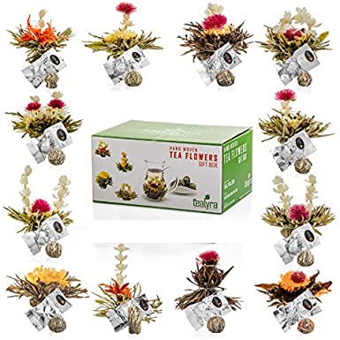 Tealyra - 12 pcs Blooming Flowering Tea - 12 Variety Flavors of Finest Blooming Teas – All Tea Balls Individually Sealed - Great Gift Bloom Teas Box