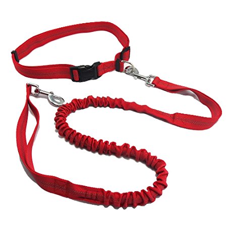Hands Free Dog Bungee Leash for Running - Dual Traffic Handles, Fits for up to 150 lbs Large Dogs