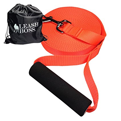 Leashboss Free Range - Long Dog Leash for Large Dogs - 1 Inch Heavy Duty Nylon Training Lead with Padded Handle - High Visibility Orange - Extra Long Dog Leash