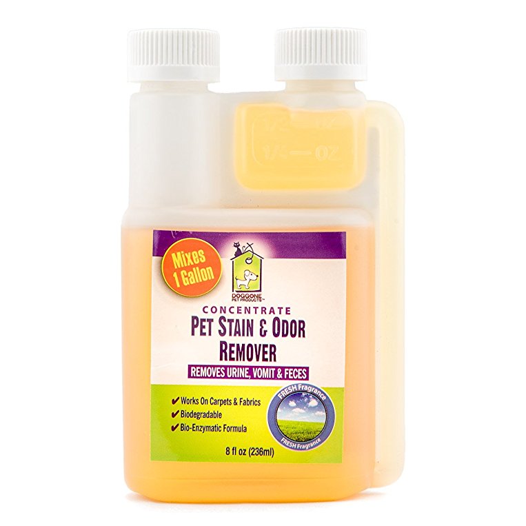 Doggone Pet Products® Pet Urine Stain & Odor Enzymatic Cleaner CONCENTRATE - Mixes 1 Gallon Of Ready To Use Solution. Permanently Cleans Pet Stains Including Vomit, Feces & Urine Off Carpet, Upholstery and Other Fabrics.