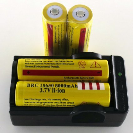 SmartLive 4 pcs 3.7V 18650 5000mah Rechargeable Lithium Battery with 18650 battery Charger