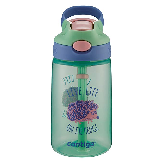 ContigoGizmo Water Bottle, 14 oz, Mint Chip with Hedgehog