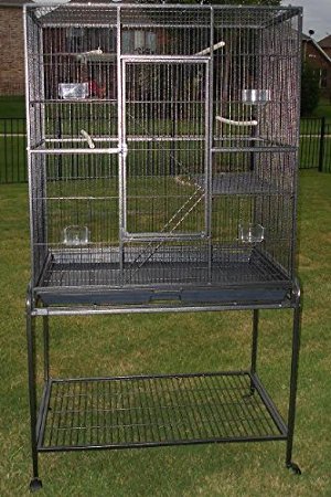 Pet Products Large Wrought Iron Flight Cage With Removable Rolling Stand Bird Cage, 32-Inch by 19-Inch by 64-Inch