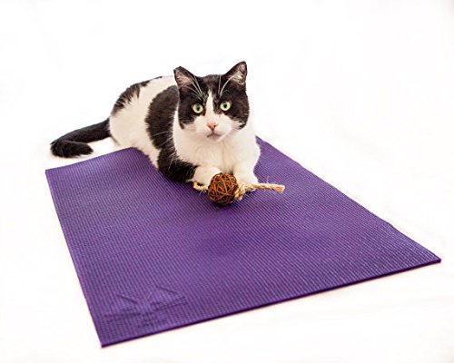 Cat Yoga Mat with Cat Toy. Cat Scratcher, Bed, Activity Play Mat with Catnip Toy.