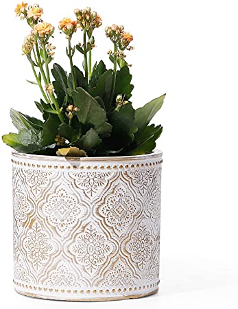 Cement Plant Pot - POTEY 6 Inch Indoor Pot with Drainage Hole for All House Plants - 801, White with Gold