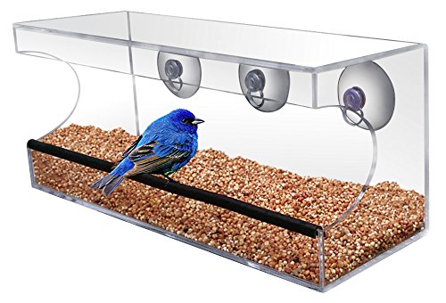 CRYSTAL CLEAR BIRD FEEDER - Suction Window Feeders Birds, Cats and Kids Love - Easy Clean and Fill - See Cardinals, Finches and Orioles Feed Inches From Kitchen Windows - FREE BONUS 7 EBOOK BUNDLE