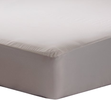 Sealy Stain Protection Fitted Mattress Protector