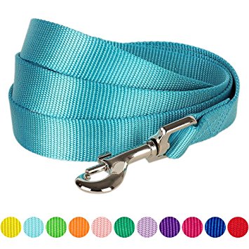 Blueberry Pet Classic Solid Color Dog Leash, 12 Colors, Matching Collar & Harness Available Separately