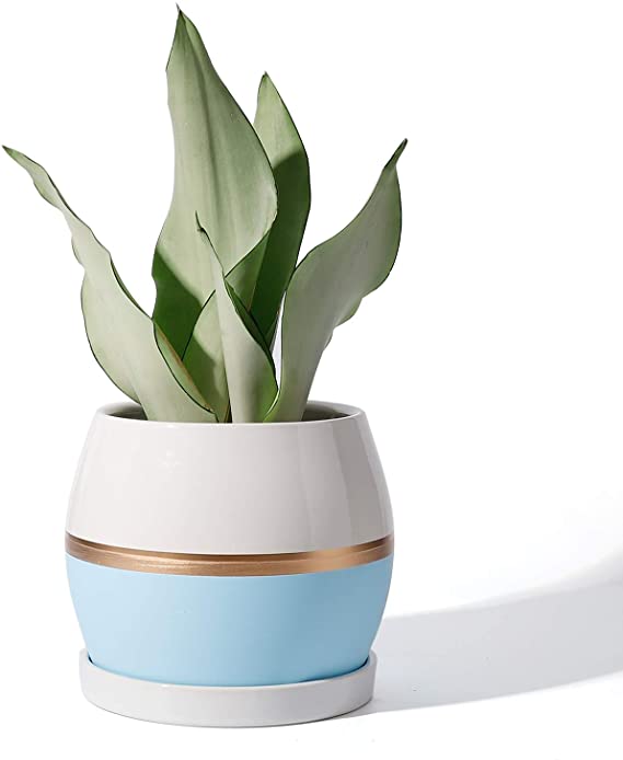 POTEY Ceramic Planter Flower Plant Pot - 5.1” with Drain Hole Saucer-Enough Space - Modern Decorative for Indoor Planters-White with Gold and Blue Detailing