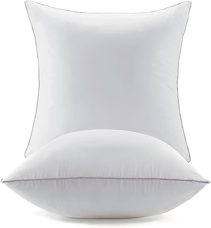 Ichrysania 18 x 18 Pillow Inserts Set of 2 with 100% Cotton Cover
