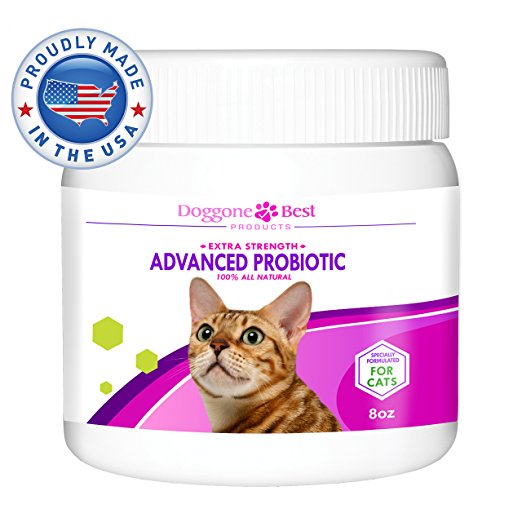 Probiotics for Cats - Best Feline Digestive Health Supplement for Immune Support - All Natural Nutritional Powder for Diarrhea, Vomiting, & Skin Allergy Relief - Made in the USA