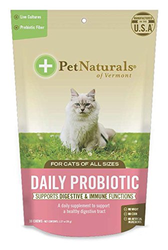 Daily Probiotic Chew for Cats
